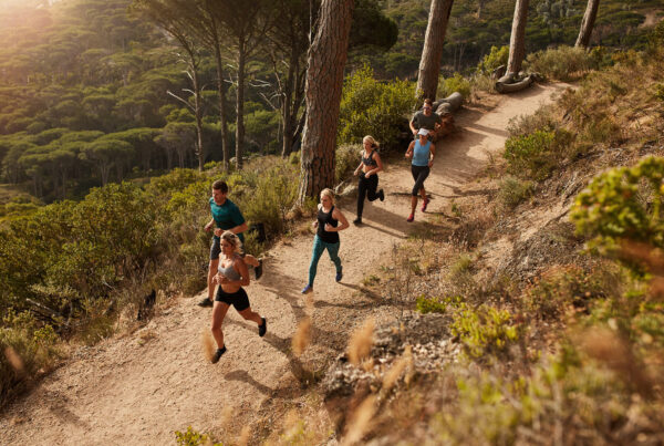 Group of runners in a cross country race