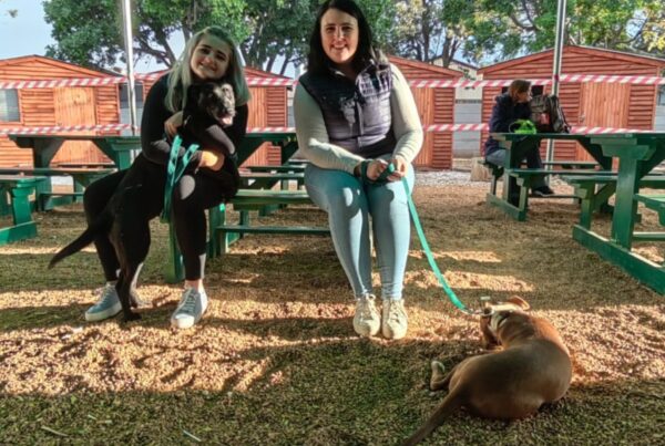 K2 team with puppies and a dog