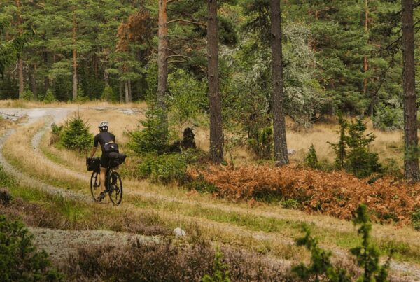 Cycling in a forest in Sweden