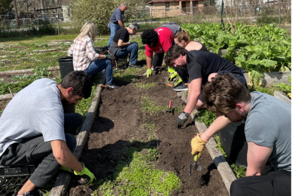 People gardening