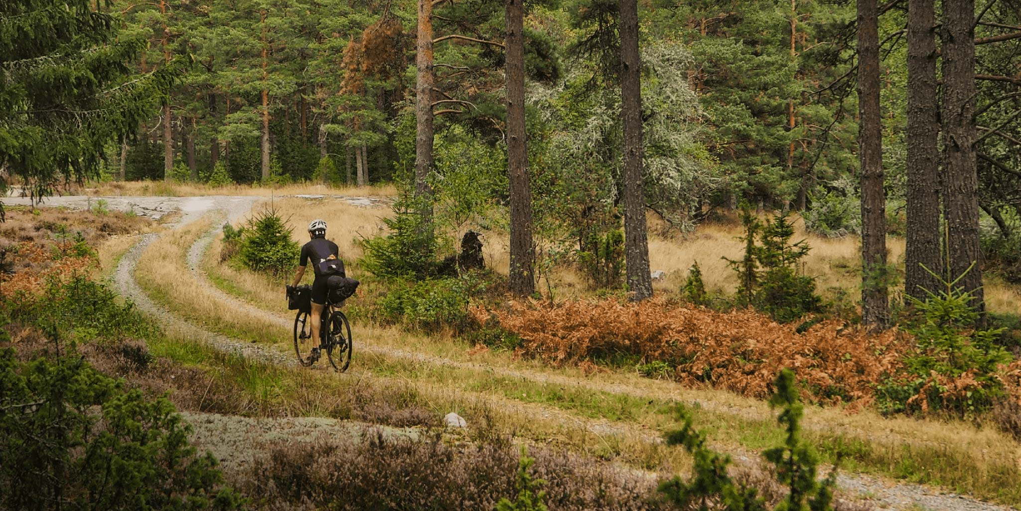 Cycling in a forest in Sweden