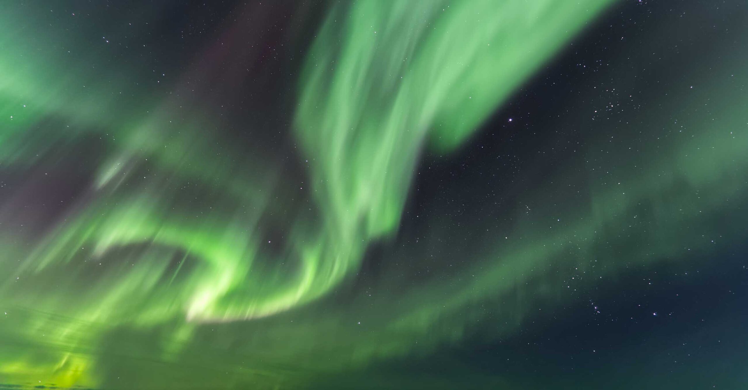 Nordic Business Communication, Insights from Our Recent Webinar