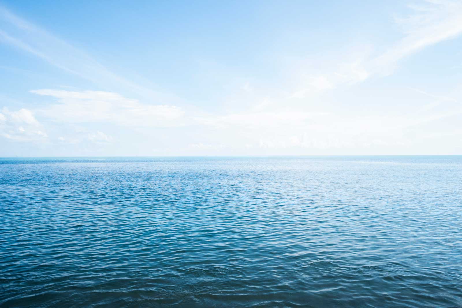 Stacie Steingrubey, Client Account Manager