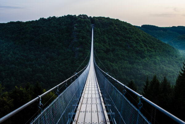 Suspension bridge across a ravine with trees