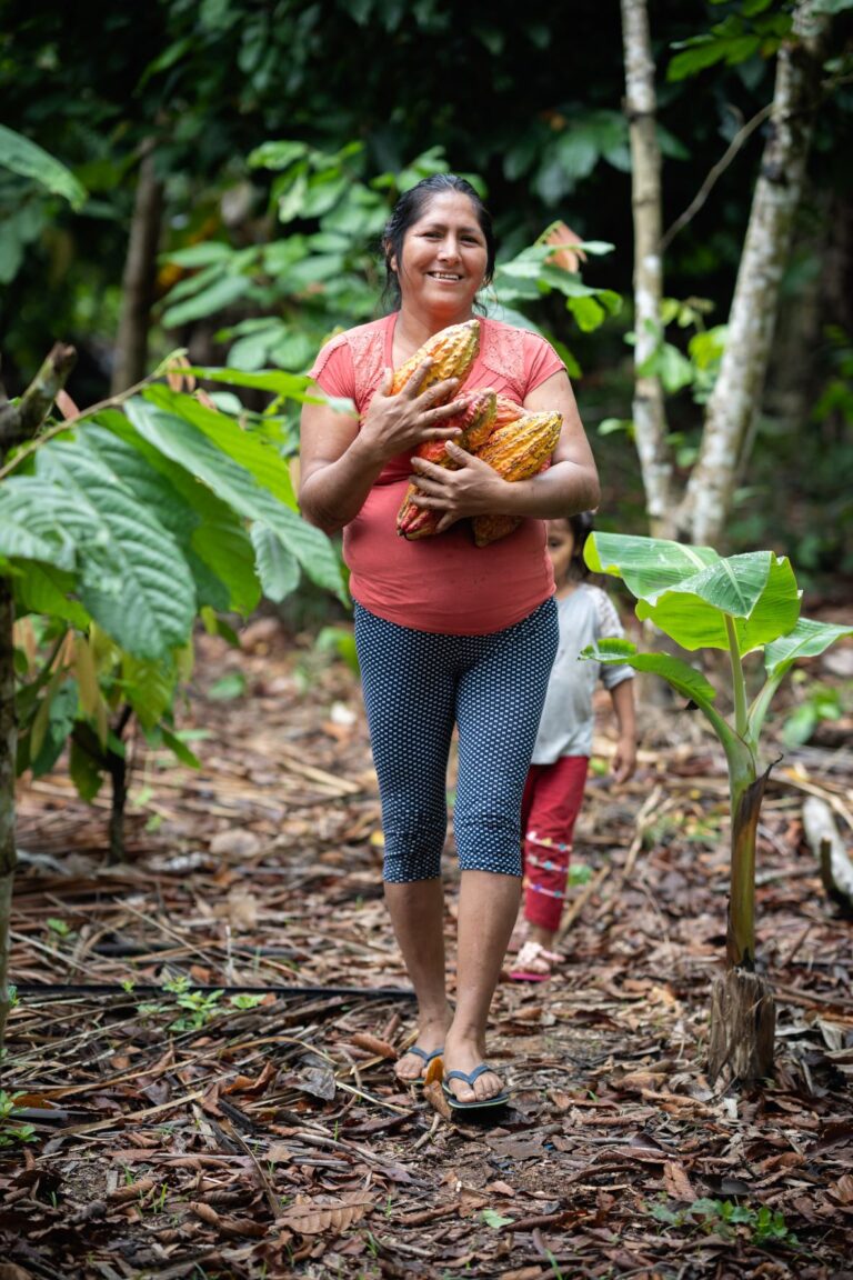 On Tree Planted worker with cocoa fruit