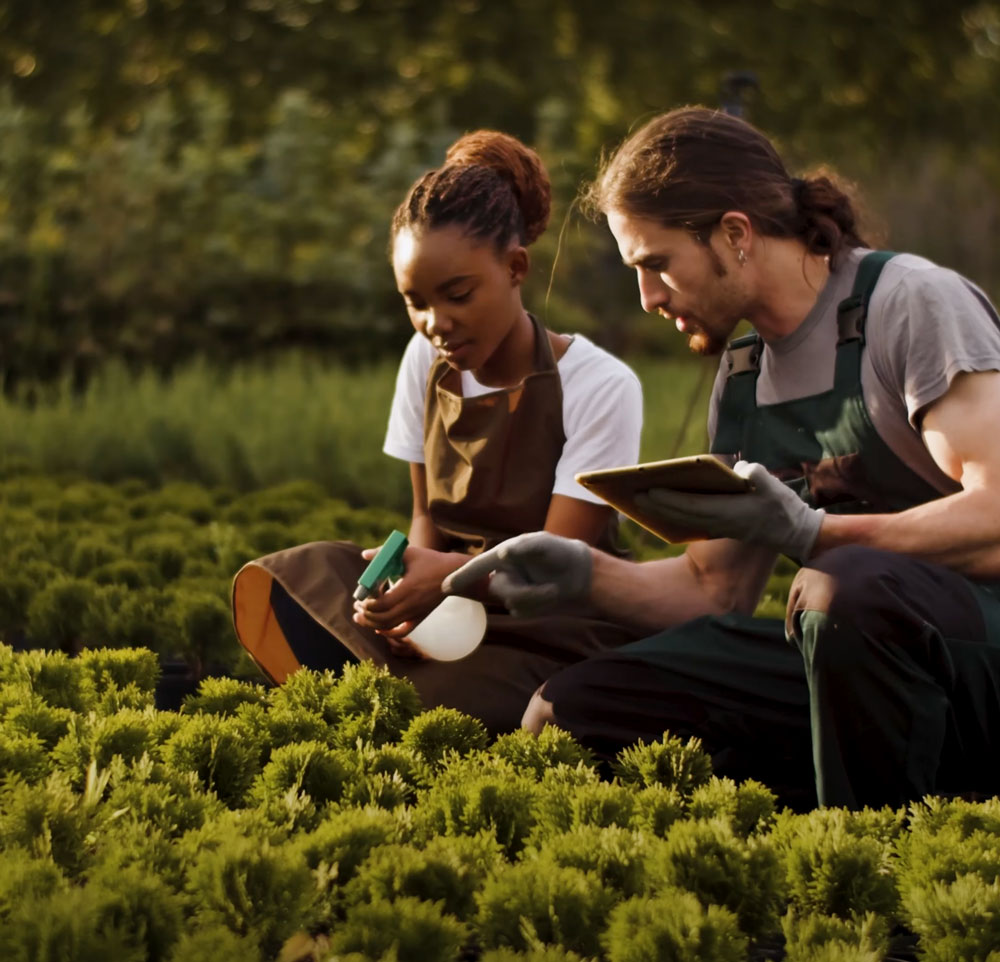 Two horticulture workers